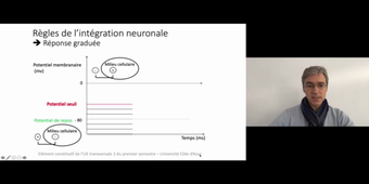 J5. Potentiel d'action neuronale _ cours 3 Intégration neuronale -2-_default_2b92a7ed (1).mp4