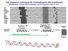 080920-Cours 1 P12 enreg_rgp.mp4