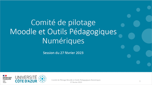 Comité de Pilotage LMS Moodle 27-02-2023