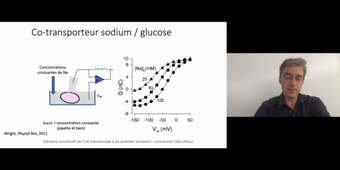 J3. Aspects théoriques des transferts transmembranaires _ cours 5 Cotransporteurs_ échangeurs et pompes_default_acedd475.mp4