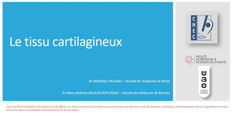 CHEC.H.C.2 Cours HistoEmbryo - H.C.2 Tissu cartilagineux - CHEC.mp4