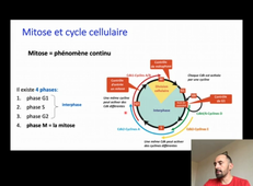 Mitose Reproduction 2020-2021 Pr N Chevalier_default.mp4