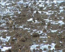 Erosion diffuse projet UOH Degsol