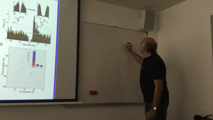 The stochastic integrative properties of thalamic and cortical neurons _ part 1 _ Alain Destexhe