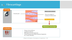 H.C.2 Tissu cartilagineux - CHEC_default.mp4