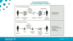 6- Introduction aux immunothérapies _ les approches cellulaires_default_066c4979.mp4