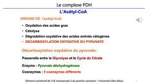 b7f624f5-efab-4ca5-a341-ac2c00c5640f-720ff1ba-a317-4a69-91ef-ac2c00c8991e (1).mp4