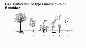Biogéographie_Zonale_CM1-Méthode.mp4