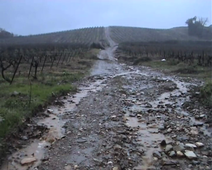 Erosion vignoble Var (2) projet UOH Degsol