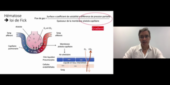 J4. Aspects physio des transferts transmembranaires _ cours 2 Diffusion des gaz à travers la membrane alvéolaire_default_3d801bde.mp4