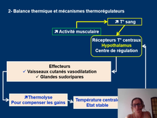 L2 STAPS. Physiologie des adaptations. Cours 2.