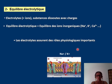 L2 STAPS. Physiologie des adaptations. Cours 4.