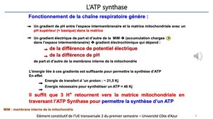 J 13. Aspects biochimiques du métabolisme. Phosphorylation oxydative _ cours 4 ATP synthase_default_74ef5718 (1).mp4