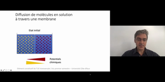 J3. Aspects théoriques des transferts transmembranaires _ cours 2 Diffusion et convection à travers une membrane idéale_default_c4c3f1eb.mp4