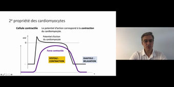 J6. Potentiel d'action cardiaque _ cours 2 Cardiomyocytes_default_52240009 (1).mp4