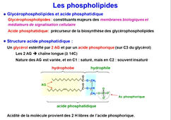 J9. Biochimie structurale _ cours 4 Lipides complexes_default_15c8d1a4 (1).mp4