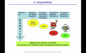 J12. Aspects biochimiques du métabolisme - Devenir des nutriments lipidiques - Transport et stockage des lipides_default (1).mp4