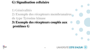 GILSON - Biologie cellulaire - Partie G - Signalisation cellulaire - 3/5