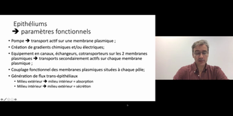 J4. Aspects physio des transferts transmembranaires _ cours 4 Flux osmolaire à travers les épithéliums_default_720ac763.mp4