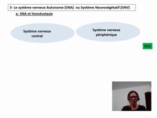 CV2 Le système nerveux autonome