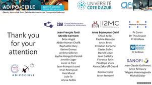 Adipose Tissue Progenitors, Key Players of Cardiometabolic Health