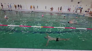 Dos-TEST3RAPIDO2024TPATONNAU