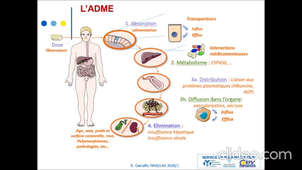 pharmacocinetique-1_wdxJu6Fl_default(1).mp4