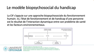 Nuances incapacités et handicap.mp4