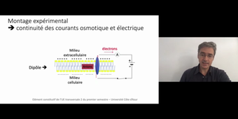 J3. Aspects théoriques des transferts transmembranaires _ cours 3 Potentiel électrique_default_400df1d6.mp4