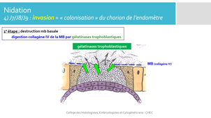 E.B.2 Semaine 2_default.mp4