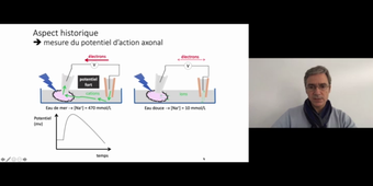 J5.Potentiel d'action neuronal _ cours 4 Canaux ioniques du potentiel d'action axonal_default_e129108f (1).mp4