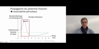 J5. Potentiel d'action neuronal _ cours 5 Propagation du potentiel d'action_default_7a5cce03 (1).mp4