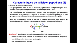 J9. Biochimie structurale _  cours 1 Protéines_default_a7991068 (1).mp4