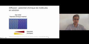 J3. Aspects théoriques des transferts transmembranaires _ cours 1 Potentiel chimique_default_8679d48c.mp4