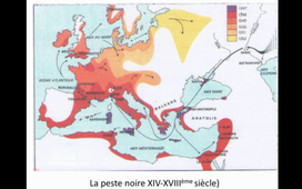 Histoire de la Peste à travers les âges