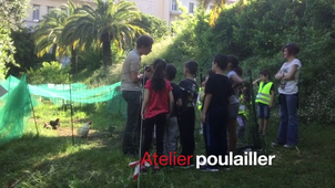 Inspé_fete_terre.mp4