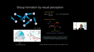 Investigation of collective states using programmable active matter - Clemens Bechingers