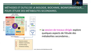 Métabolisme secondaire 2ème partie - 5/5.mp4