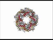 structure_quaternaire