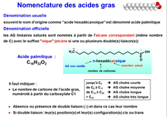 J9. Biochimie structurale _  cours 3 Lipides_default_71bb88ab (1).mp4