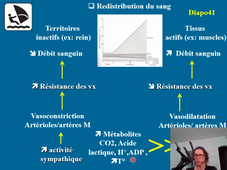 cours vasculaire 3.mp4