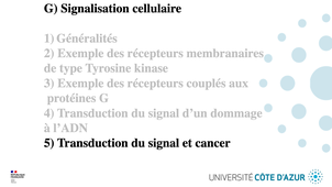 GILSON - Biologie cellulaire - Partie G - Signalisation cellulaire - 5/5