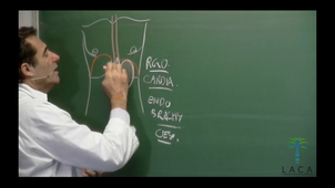 ANATOMIES09E06.mp4