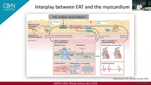 Epicardial Adipose Tissue and Heart Diseases in Obesity