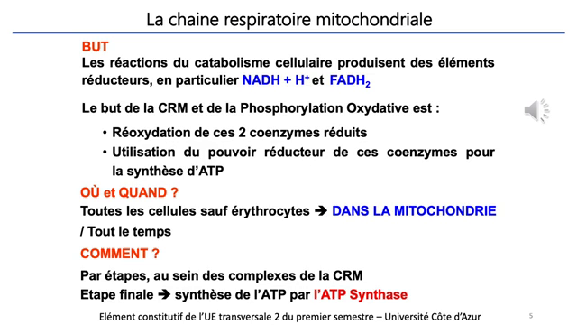 UniCApod - J 13. Aspects Biochimiques Du Métabolisme. P…