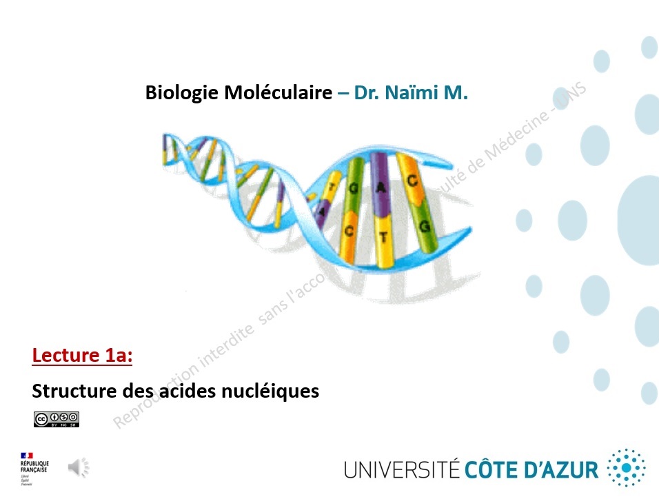 UniCApod - Lecture 1a - Structure Des Acides Nucleiques…